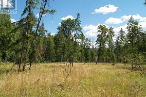 River Stone Road Lot# Lot D - Photo 11