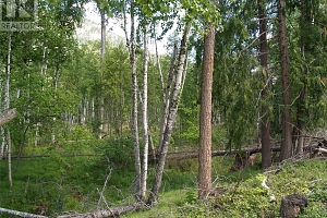 River Stone Road Lot# Lot D - Photo 20