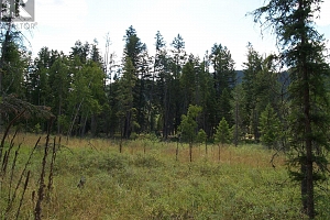 River Stone Road Lot# Lot D - Photo 21