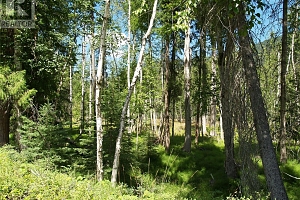 River Stone Road Lot# Lot D - Photo 22
