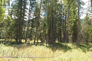 River Stone Road Lot# Lot D - Photo 24