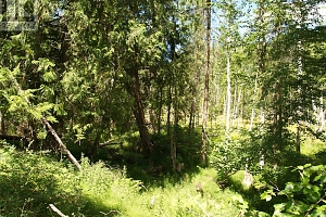 River Stone Road Lot# Lot D - Photo 25