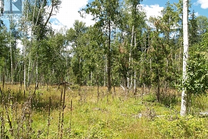 River Stone Road Lot# Lot D - Photo 27