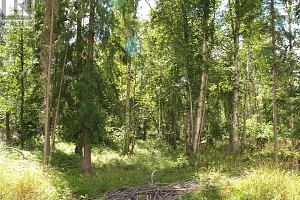 River Stone Road Lot# Lot D - Photo 28
