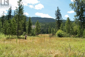 River Stone Road Lot# Lot D - Photo 8