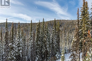 9966 Purcell Drive - Photo 23