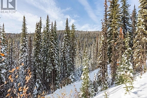 9966 Purcell Drive - Photo 35