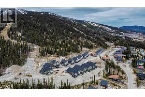 270B Grizzly Ridge Trail - Photo 34