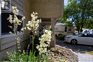 2105 19 Avenue - Photo 37