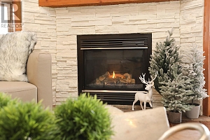 5050 Snowbird Way Unit# 405 - Photo 16