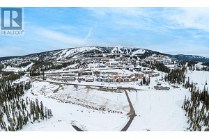 5050 Snowbird Way Unit# 405 - Photo 38