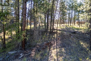 7115 Dunwaters Road Lot# 71 - Photo 13