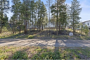 7115 Dunwaters Road Lot# 71 - Photo 3