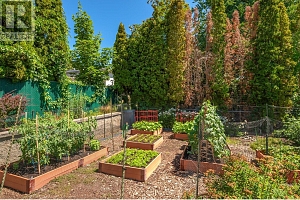 482 Curlew Drive - Photo 41