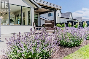 184 Diamond Way - Photo 13