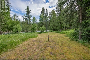 1136 Sugar Lake Road - Photo 37