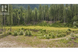 1136 Sugar Lake Road - Photo 45