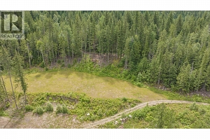 1136 Sugar Lake Road - Photo 46