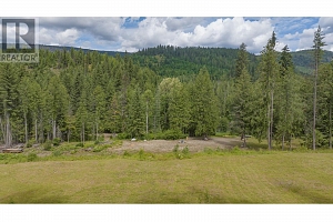 1136 Sugar Lake Road - Photo 47