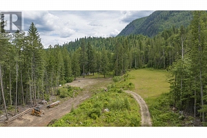 1136 Sugar Lake Road - Photo 48