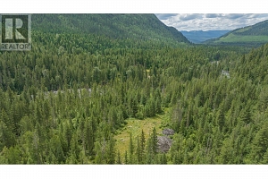1136 Sugar Lake Road - Photo 58