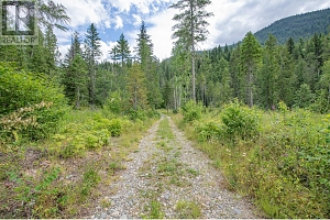 1136 Sugar Lake Road - Photo 7