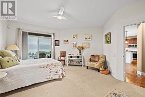 2234 Terrero Place - Photo 31