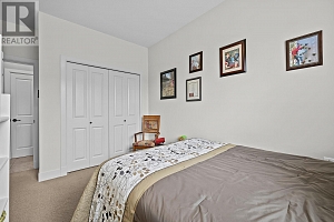 2234 Terrero Place - Photo 38