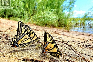 415 Commonwealth Road Unit# 301 - Photo 20