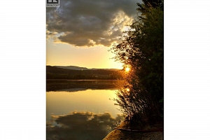 415 Commonwealth Road Unit# 301 - Photo 21