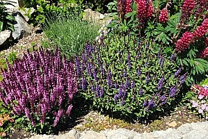 415 Commonwealth Road Unit# 301 - Photo 7