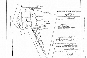 12110 Trewhitt Road W - Photo 58