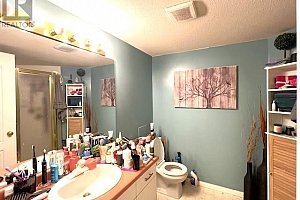 709 Houghton Road Unit# 206 - Photo 12