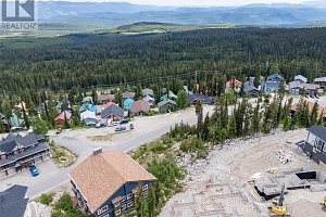 5850 Snow Pines Way - Photo 10