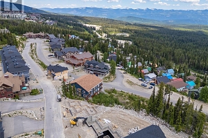 5850 Snow Pines Way - Photo 11