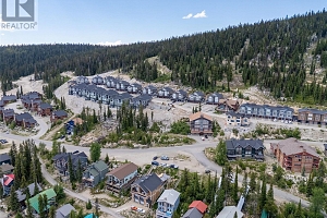 5850 Snow Pines Way - Photo 16