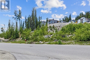 5850 Snow Pines Way - Photo 4