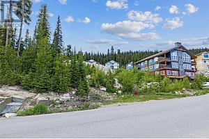 5850 Snow Pines Way - Photo 6