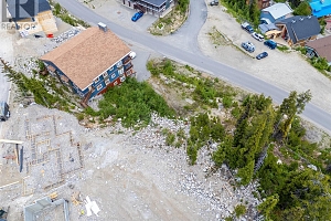 5850 Snow Pines Way - Photo 8