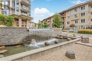 1099 Sunset Drive Unit# 441 - Photo 4