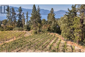 4920 Chute Lake Road - Photo 58