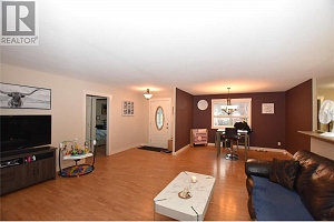 458 Ibis Avenue - Photo 13