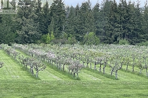 5393 East Vernon Road - Photo 12