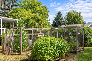 3475 Jackson Avenue - Photo 7