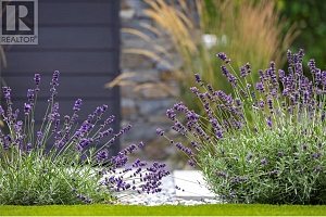 4265 Lakeshore Road - Photo 75