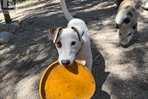 8280 Rogers Road - Photo 37