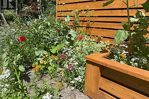 8280 Rogers Road - Photo 41