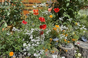 8280 Rogers Road - Photo 42