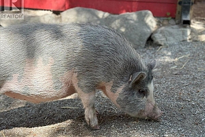 8280 Rogers Road - Photo 44