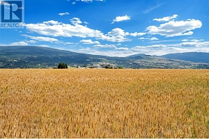 202 Stepping Stones Crescent - Photo 11